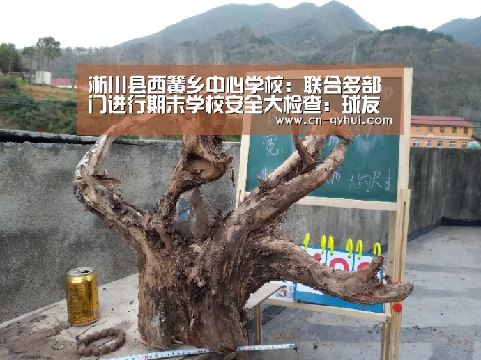 淅川县西簧乡中心学校:联合多部门进行期末学校安全大检查:球友会(图1) 球友会